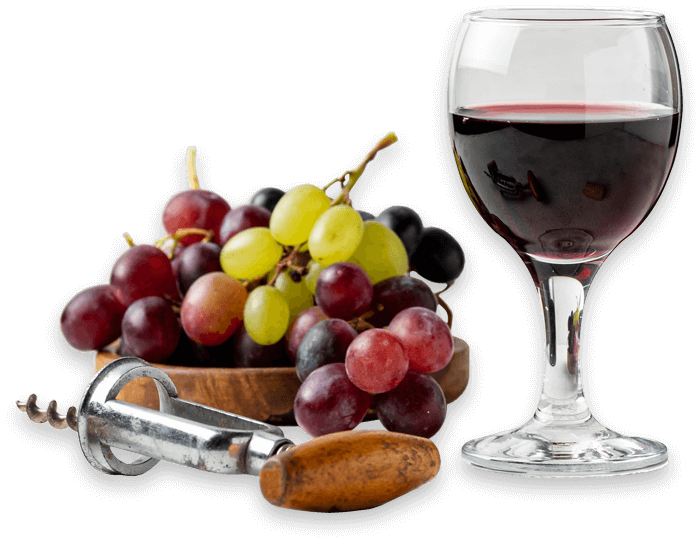 Vinhos Vinhos